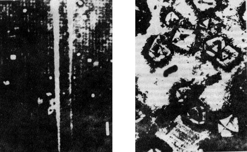Микрофотографии: кристаллы йодистого аммония, высадившиеся на дифракционную решетку с царапинами, нанесенными под углом 90° (слева) и 60° (справа) друг к другу