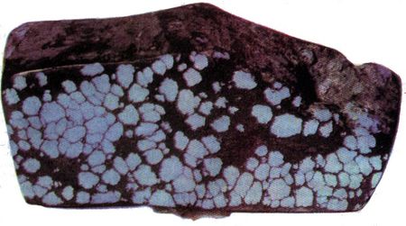 Бирюзовая матка, порода с желвачками голубого камня