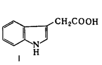 Структурная формула гетероауксина [(3-индолил)уксусная ксилота, ИУК]