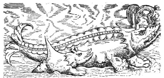 Представления средневековых естествопытателей о животном мире были порой весьма фантастическими. Эту статью иллюстрируют рисунки из книги швейцарского ученого XVI века Конрада Геснера Fischbuch (издание 1598 года). На этом рисунке - Выбрасывающий воду кит и горбатый кит, или морская свинья